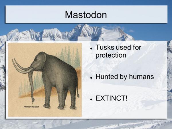 Image result for extinct mastodon