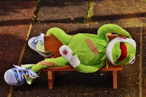 500+ Free Kermit & Frog Images - Pixabay