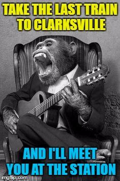 One of the original Monkees... | TAKE THE LAST TRAIN TO CLARKSVILLE; AND I'LL MEET YOU AT THE STATION | image tagged in monkey birthday jam,memes,the monkees,last train to clarksville,music,animals | made w/ Imgflip meme maker