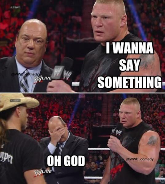 8ede781af0d24d4687a4d7c69f586b80--wwe-fu