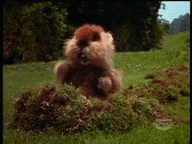 giphy.gif