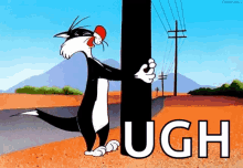 Fml Sylvester GIF - Fml Sylvester Cat GIFs
