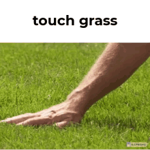 touch-grass-touch.gif