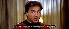 Image result for Animal House GIFs. Size: 235 x 101. Source: www.tumblr.com