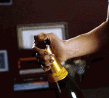 Popping Champagne GIFs | Tenor