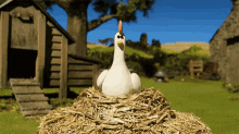 Laying Eggs Chicken GIF - Laying Eggs Chicken Easter GIFs