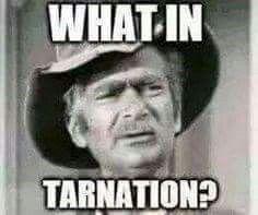 Image result for what in tarnation jud
