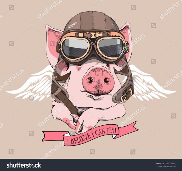 Funny Pig in a retro leather aviator helmet and with a wings on a beige background. Vector illustration.