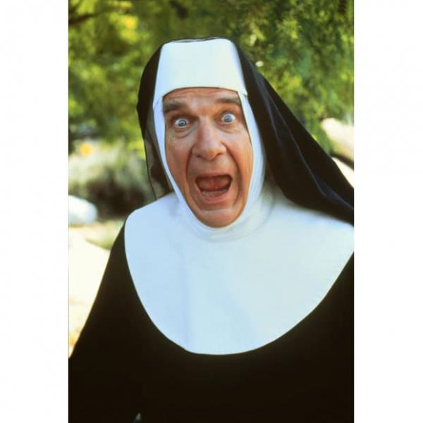 Image result for naked gun nun images