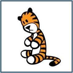 Image result for hobbes from calvin and hobbes